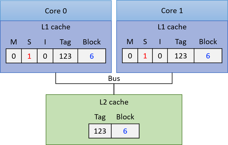 An example illustrating a block of memory copied into two core's L1 caches, both in the S state.