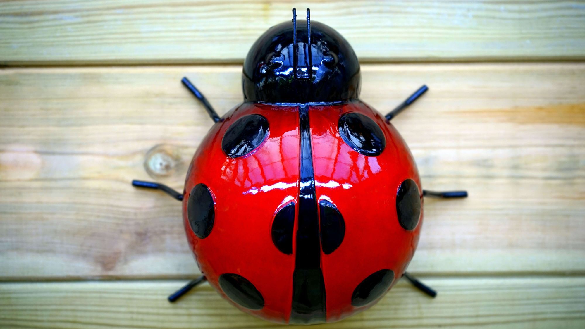 What is Debugging? How to Debug Your Code for Beginners